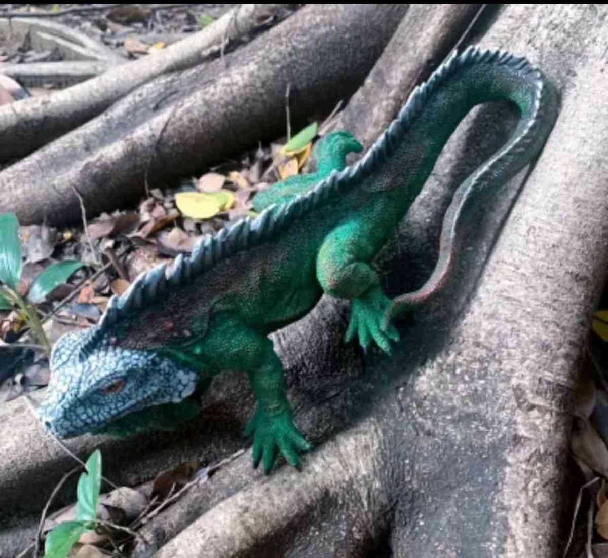 Lifesize Resin Iguana Figure - Palm Bay, Florida