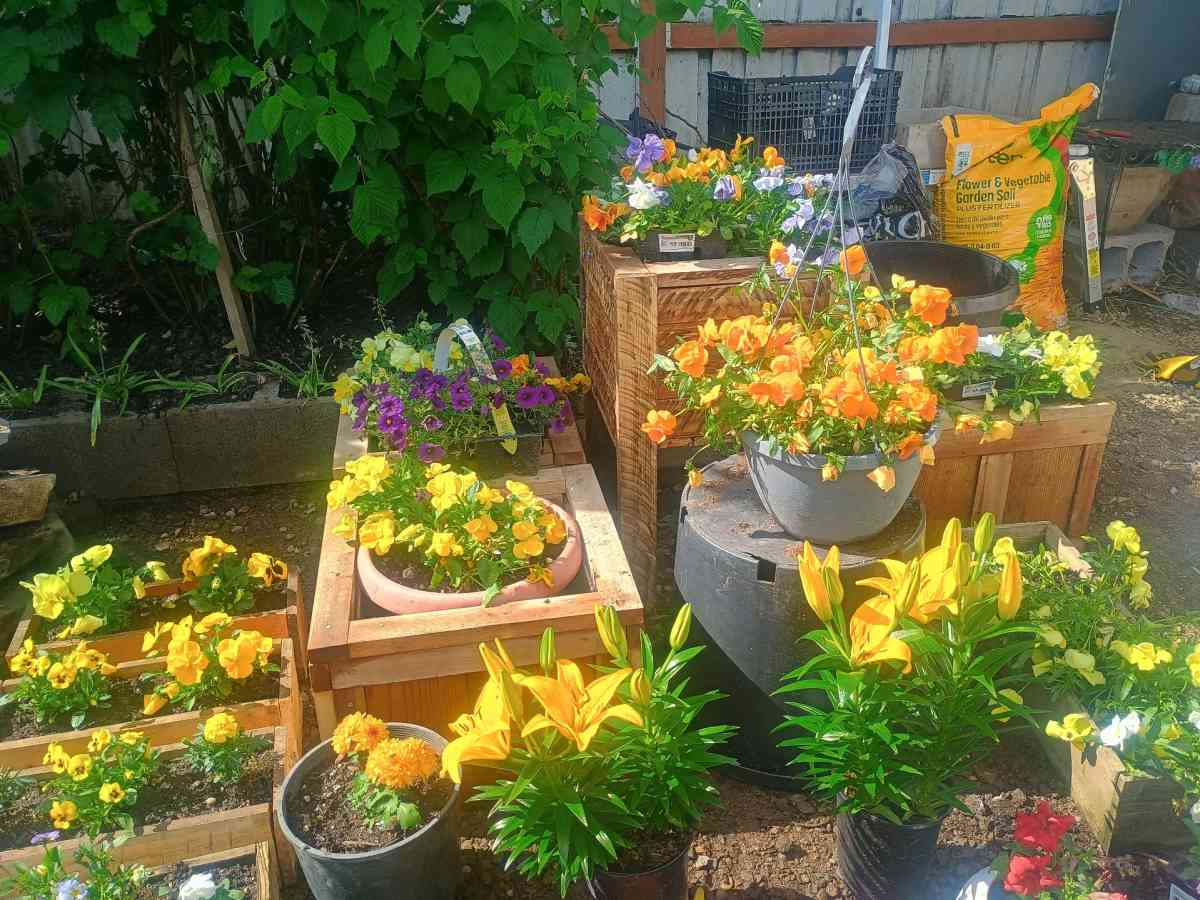 Beautiful live flower boxes tools much more - Salem, Oregon - FleaMarketBay