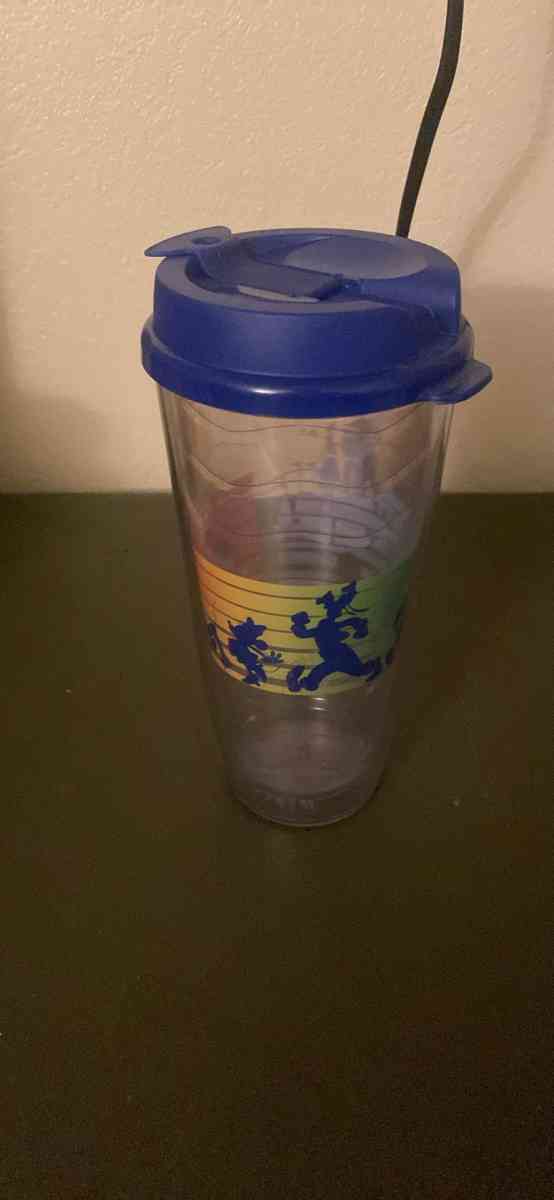 Disney pride tumbler - San Jose, California - FleaMarketBay