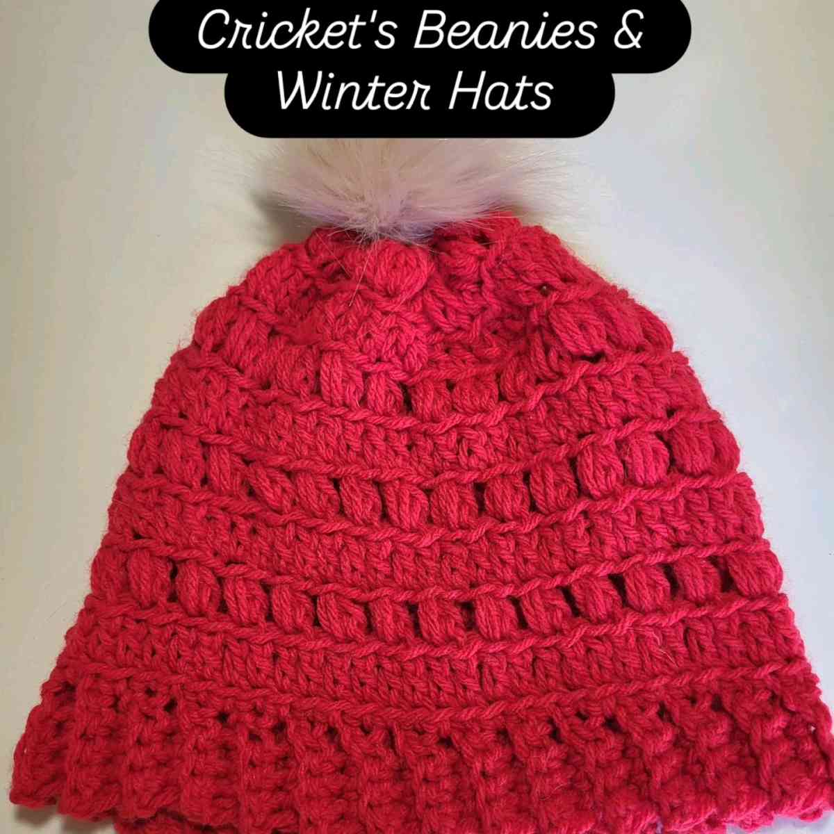 Womens Beanies and Winter Hats - Alicia, Arkansas - FleaMarketBay