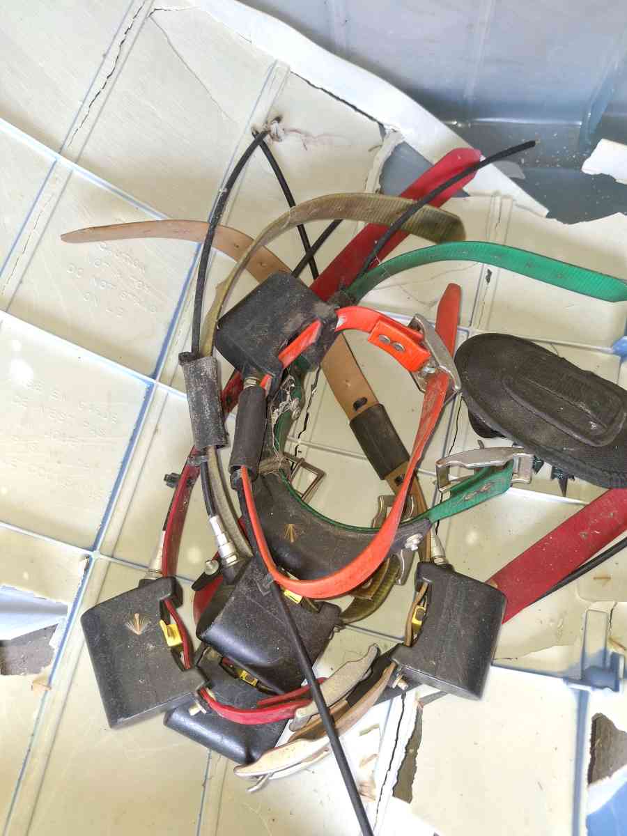 dog doors crates n more - Cottageville, South Carolina - FleaMarketBay