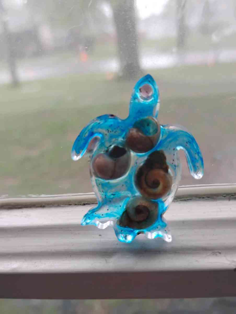 ocean inspired Resin Turtle earrings with seashells - Addison, Michigan - FleaMarketBay