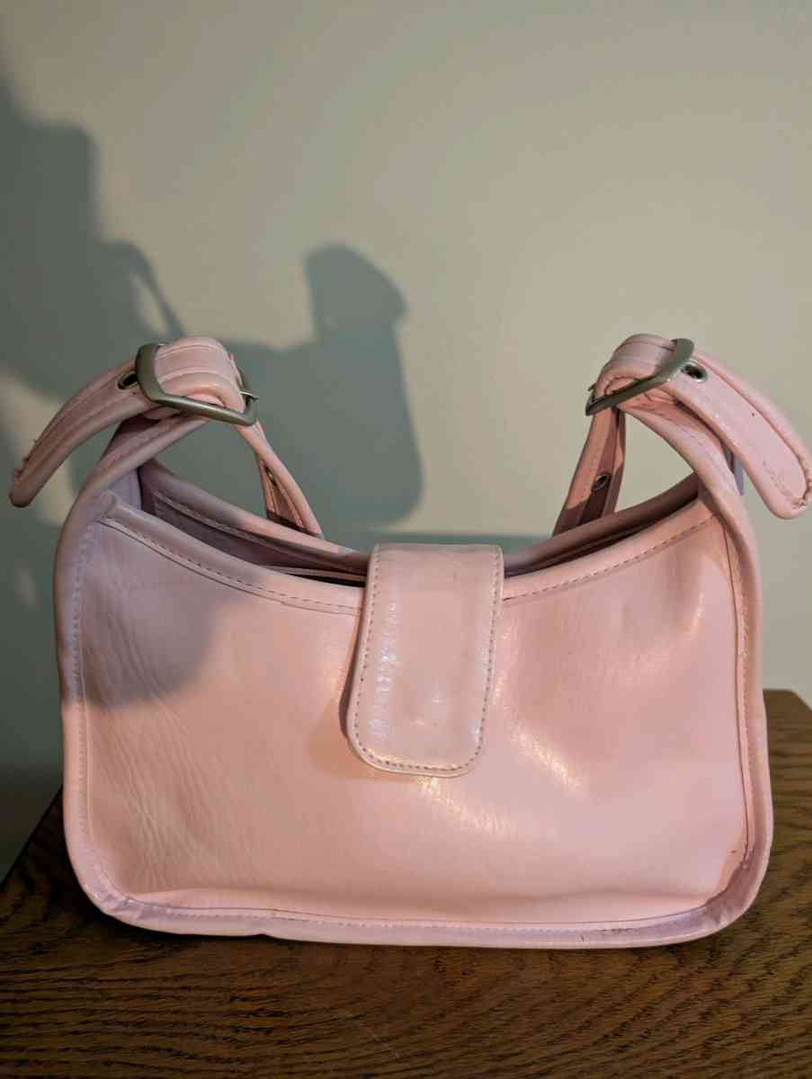 Elegant Pink Womens Bag - Baltimore, Ohio