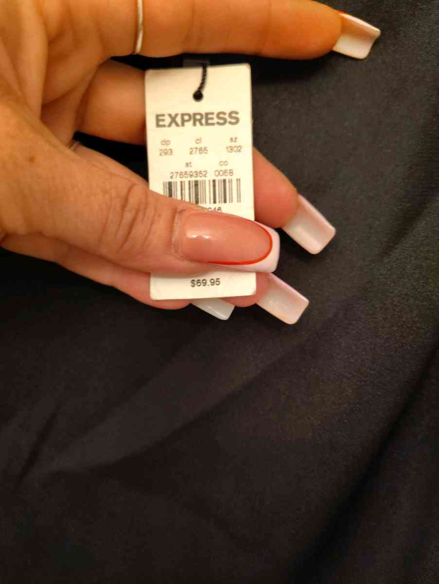 Express silk pencil skirt - Kissimmee, Florida - FleaMarketBay