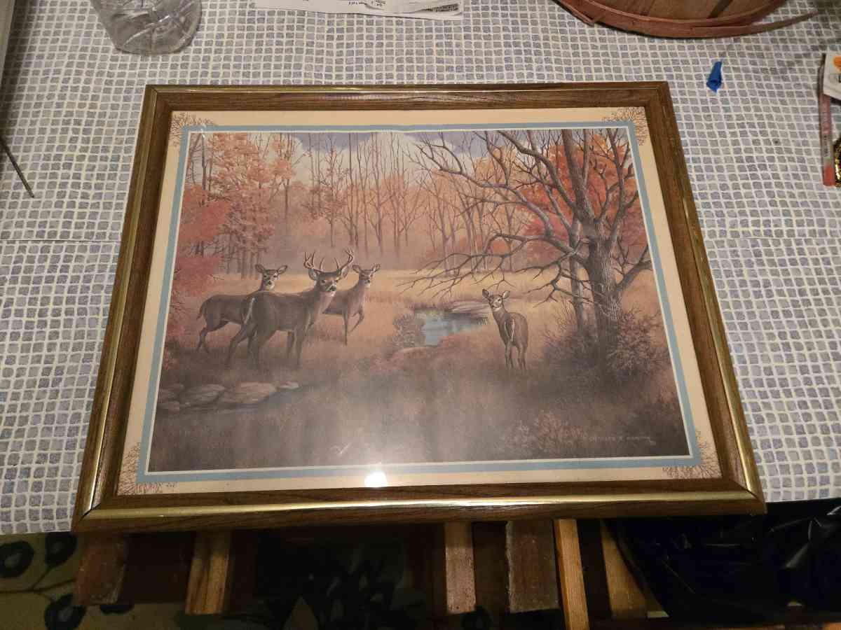Deer print by Charles E Murphy - Erlanger, Kentucky - FleaMarketBay