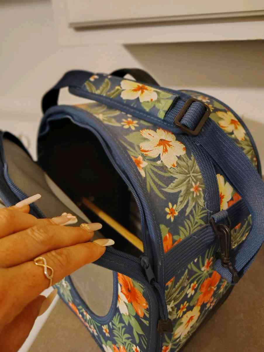 Bird carrier - Kissimmee, Florida