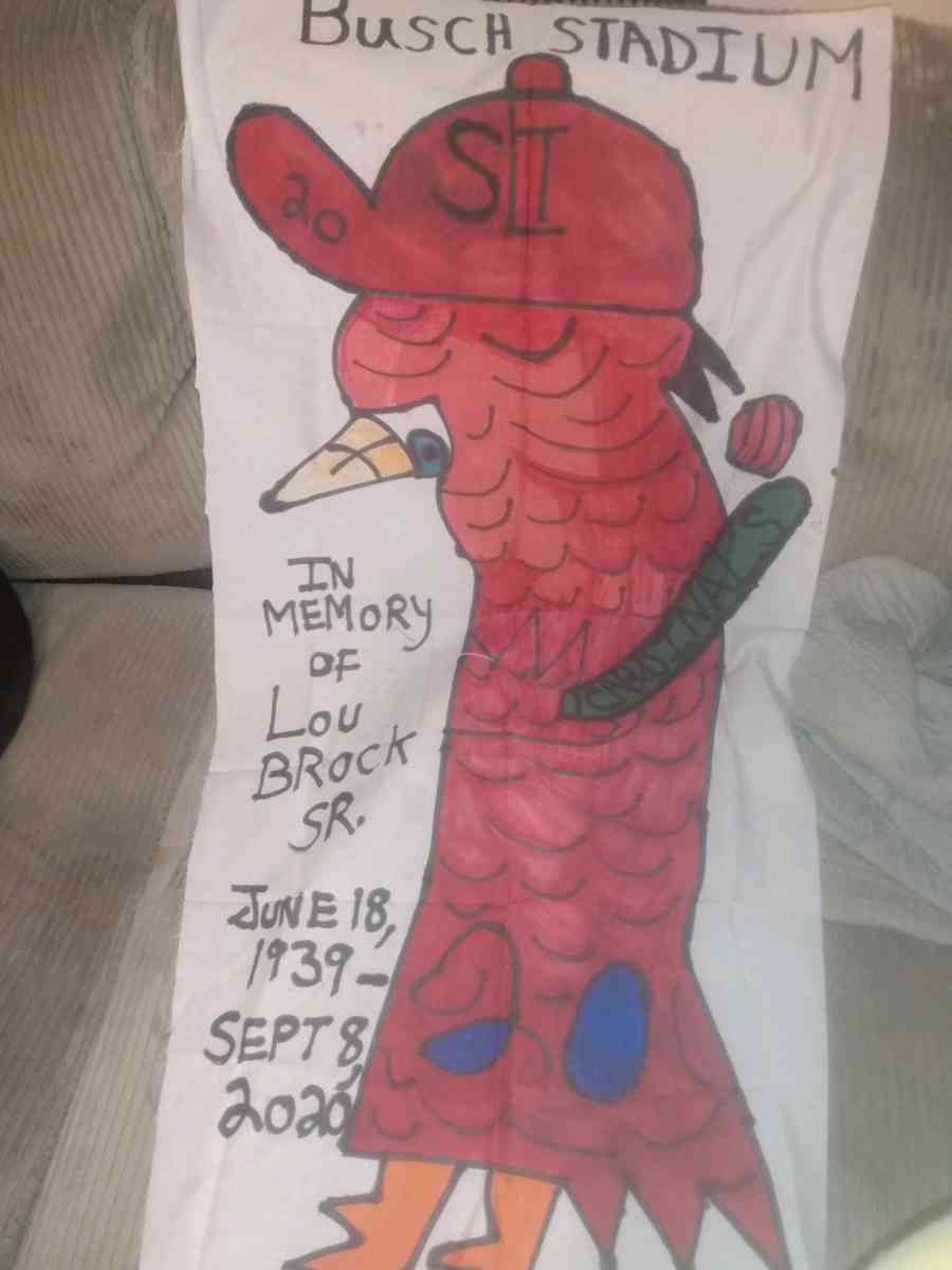 Homemade pillows with cartoons - Saint Louis, Missouri - FleaMarketBay