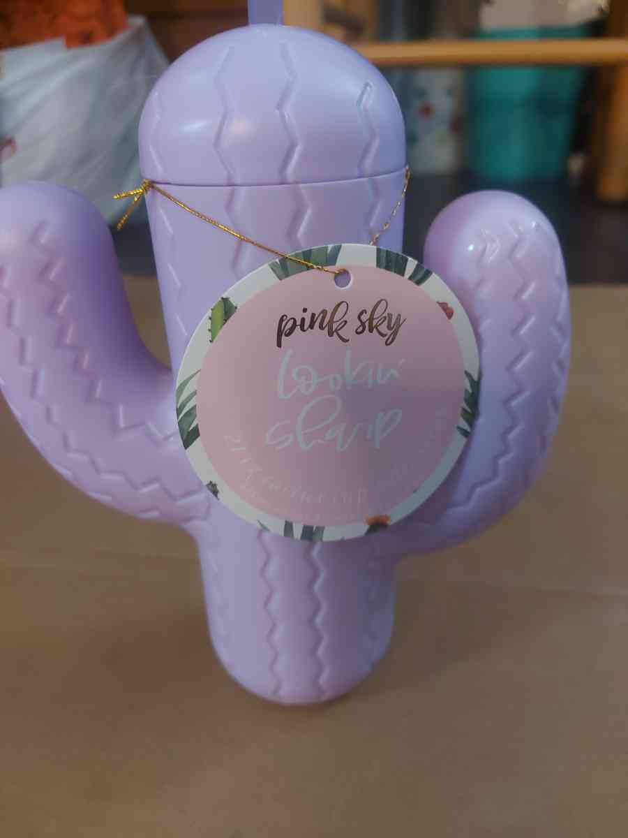 Pink Sky Lookin Sharp Cactus Cup 21 oz - Atlanta, Georgia