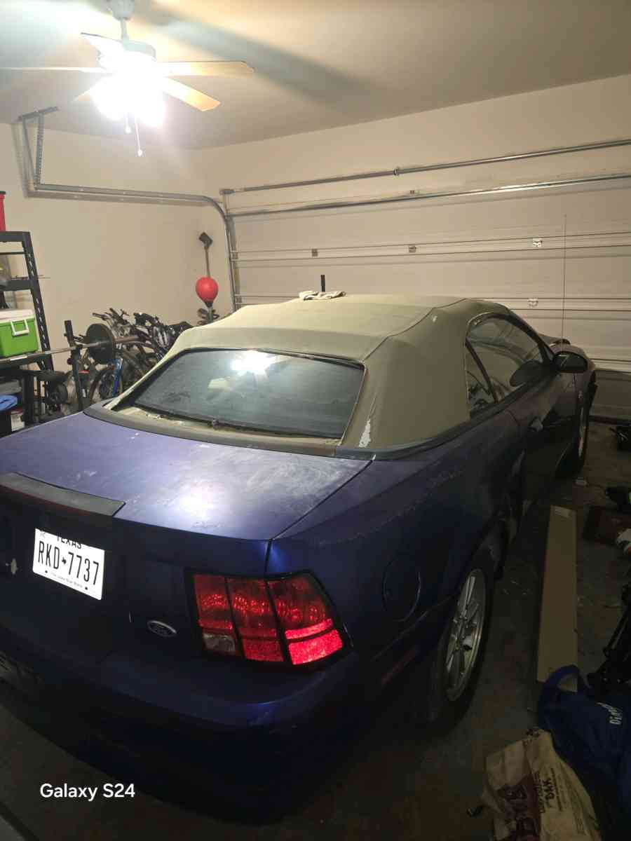 2 Mustang - Fort Worth, Texas - FleaMarketBay