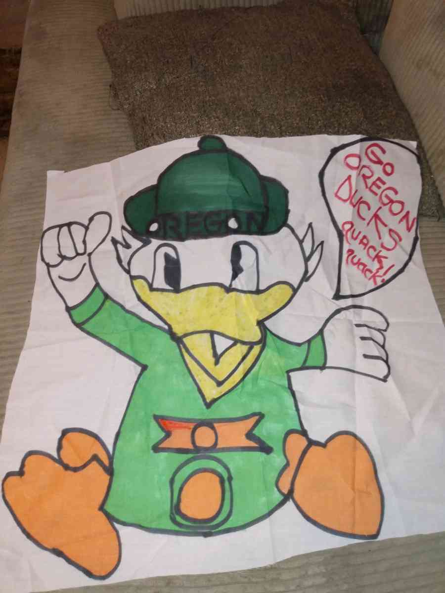 Homemade pillows with cartoons - Saint Louis, Missouri - FleaMarketBay