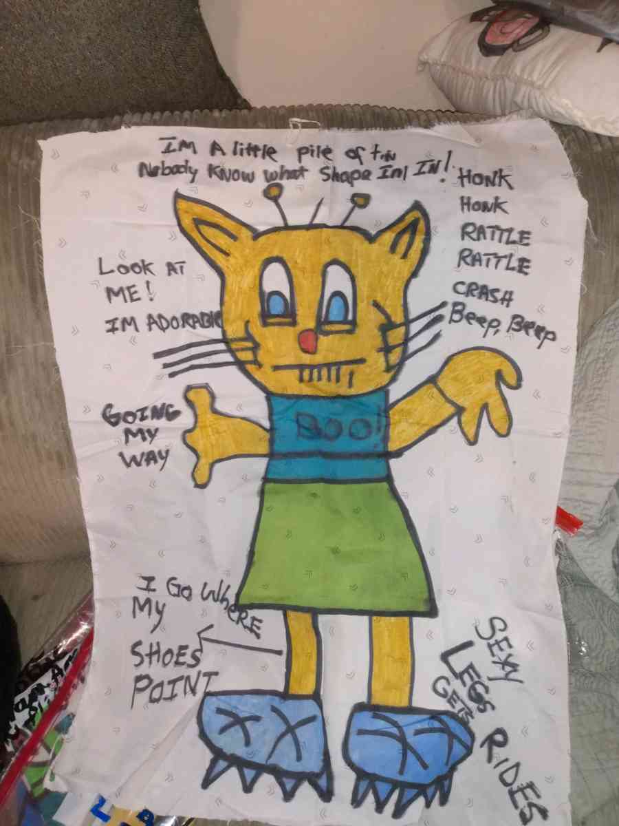 Homemade pillows with cartoons - Saint Louis, Missouri - FleaMarketBay