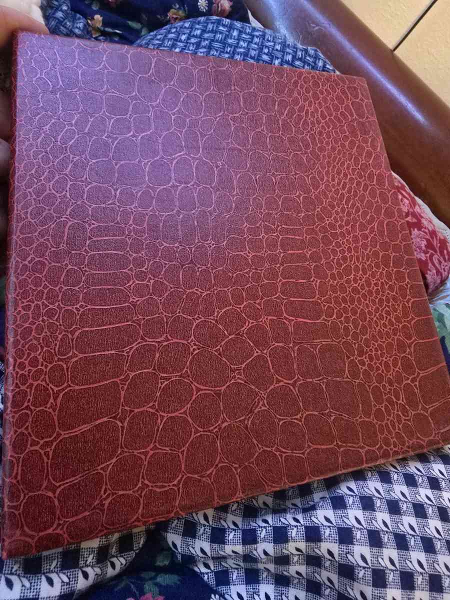 chinese shadow play - Bryan, Texas