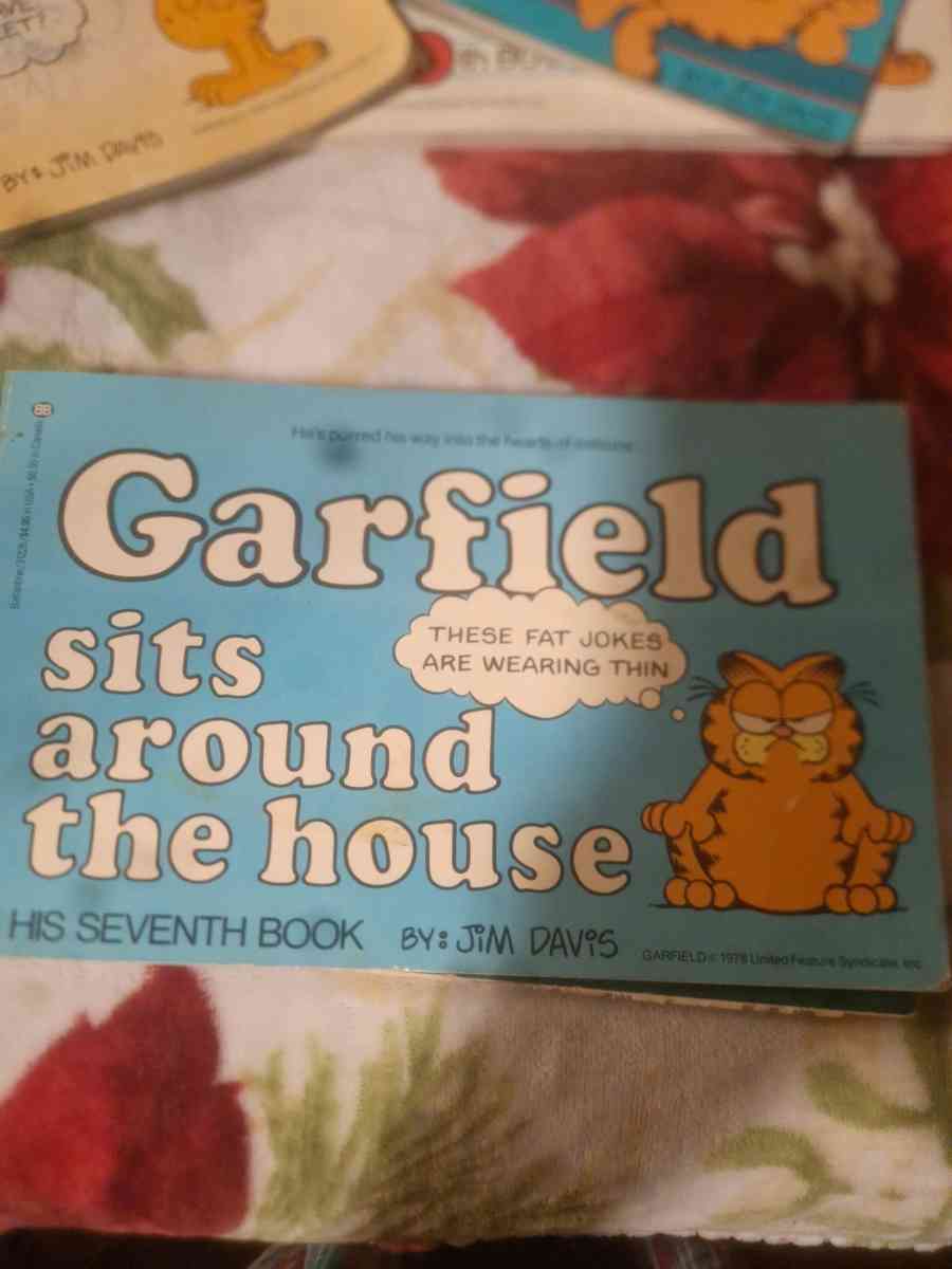 1978 to 1980 Garfield comics - Aiken, South Carolina - FleaMarketBay