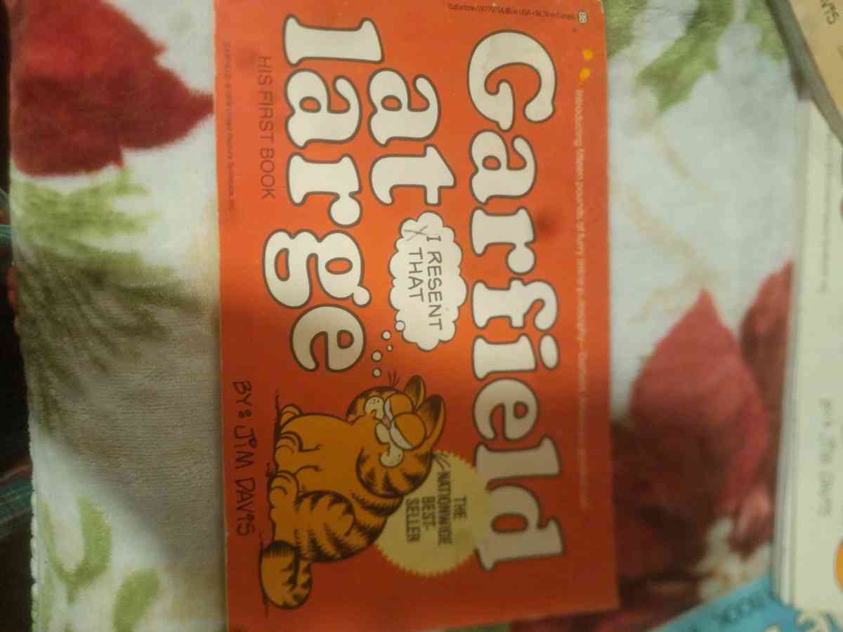 1978 to 1980 Garfield comics - Aiken, South Carolina - FleaMarketBay