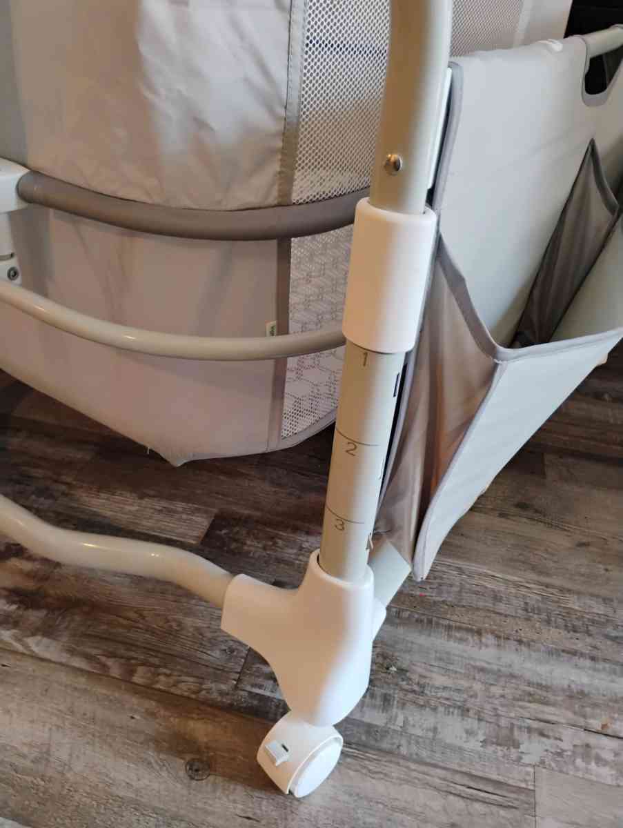 Moiss cunita - Garland, Texas - FleaMarketBay