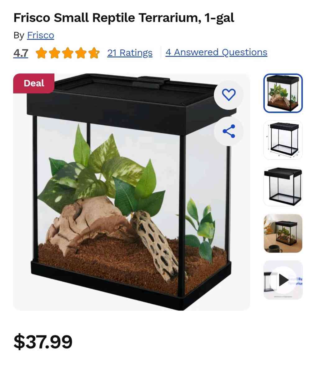 2 small reptile terrarium 1g tank - Lakeland, Florida - FleaMarketBay