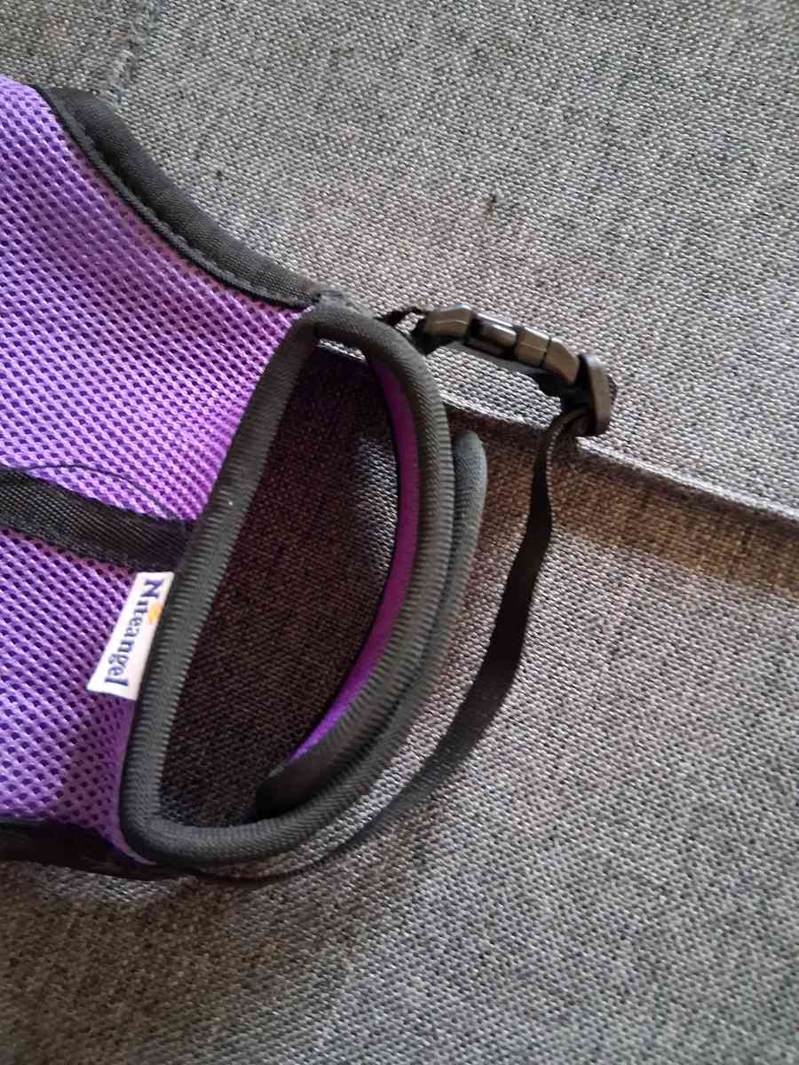 2 bunny harnesses n leashes - Comstock, Michigan - FleaMarketBay