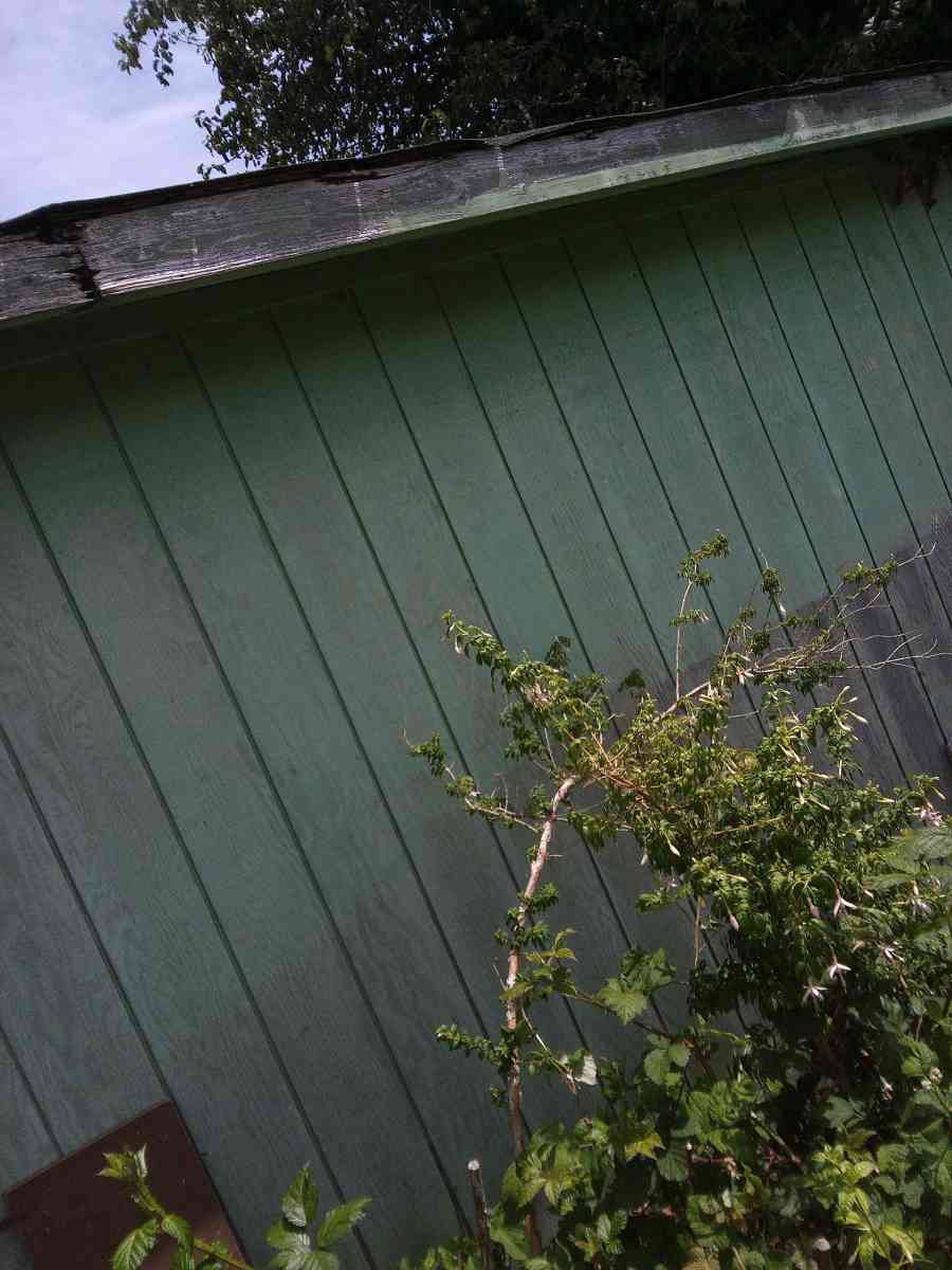 birdhouse - Coos Bay, Oregon