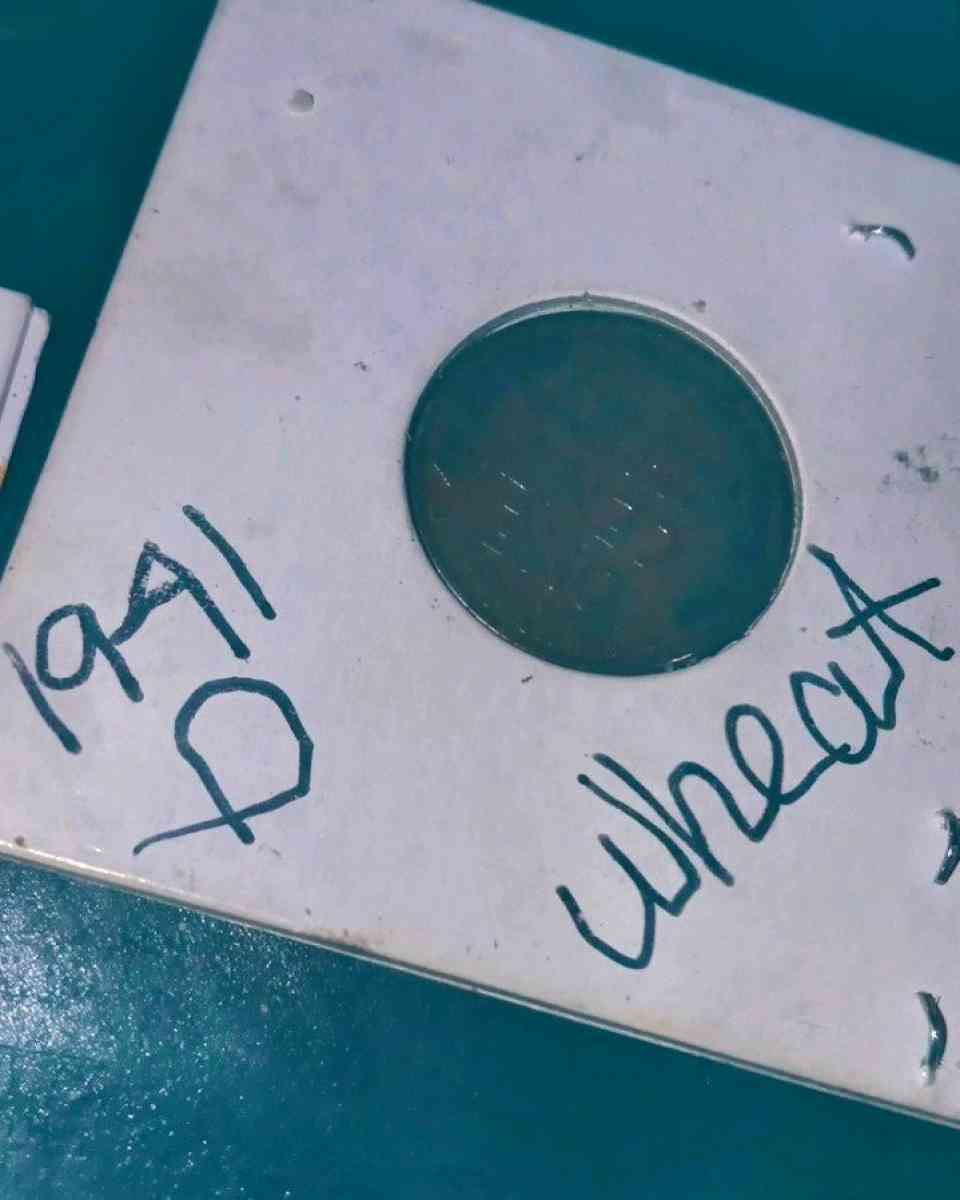 variety of high grade Lincoln wheat pennys and others - Houston, Texas - FleaMarketBay