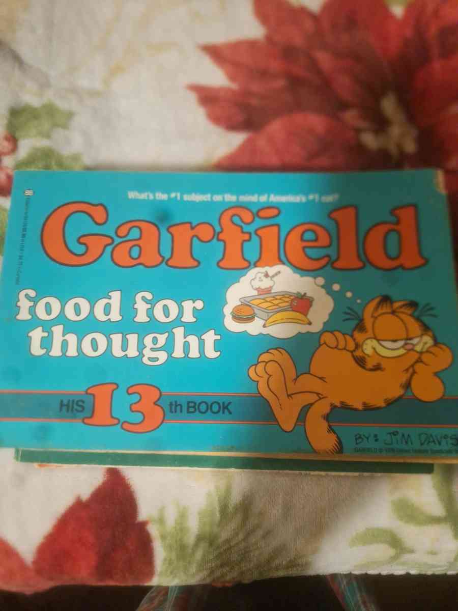 1978 to 1980 Garfield comics - Aiken, South Carolina