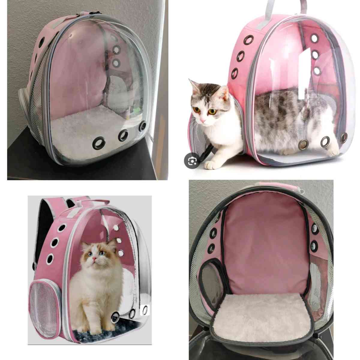 pet carrier backpack - Garland, Texas - FleaMarketBay
