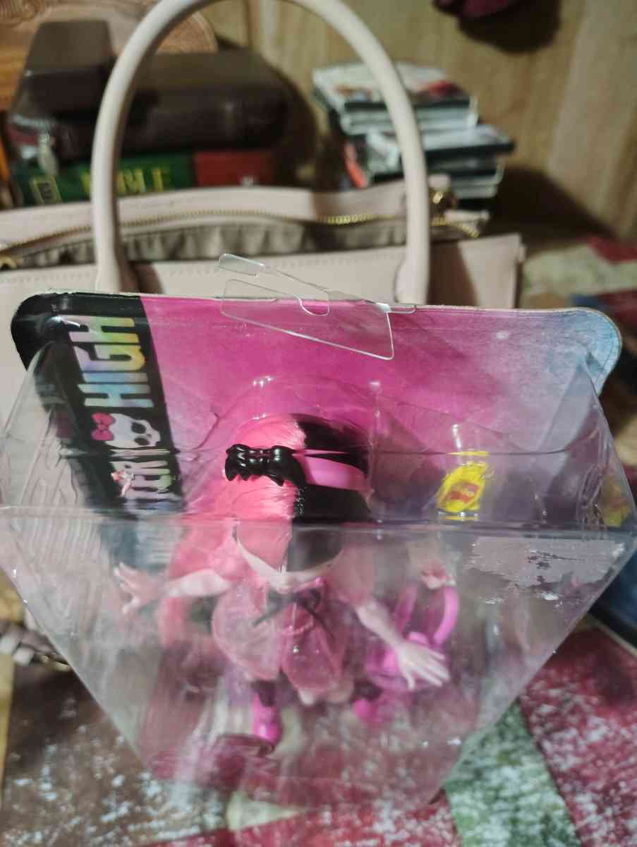 Monster High Day Out Draculaura doll - Scottsburg, Indiana - FleaMarketBay