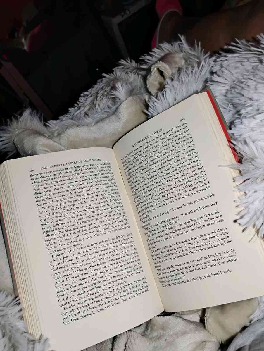 the complete collection of Mark Twain - Dike, Texas - FleaMarketBay