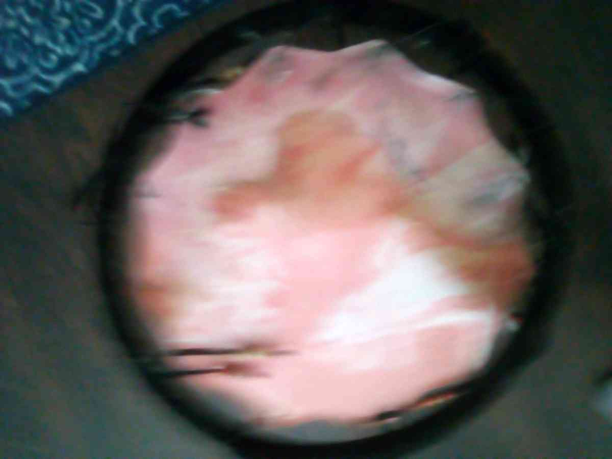 two boxes books canvas holder planter pot cups  statue - Whitehall, New York - FleaMarketBay