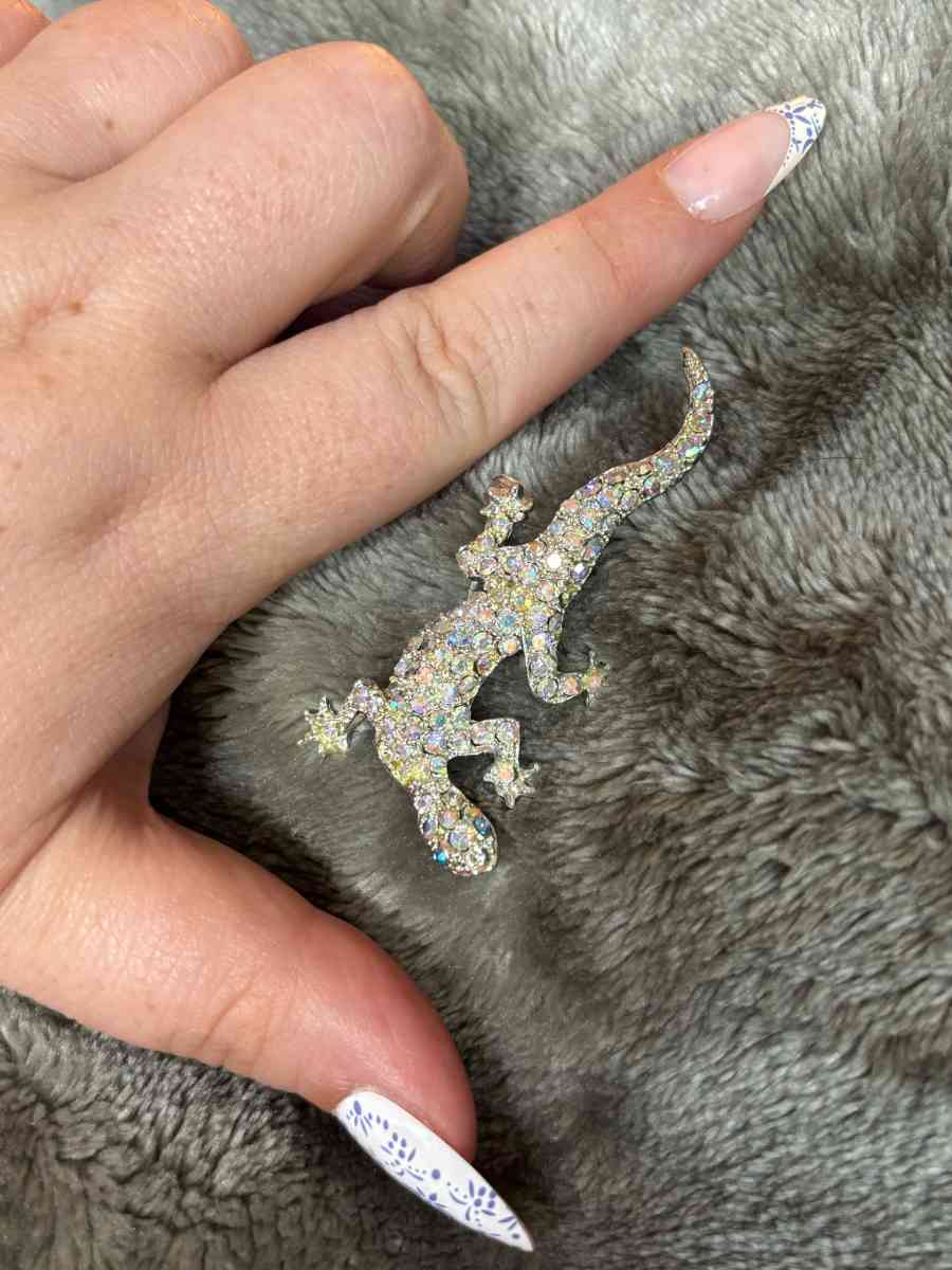 Rhinestone Gecko Brooch - Manitou Beach, Michigan