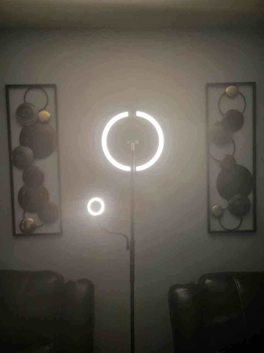 Remote Controlled LED Floor Lamp with Flexible Arm