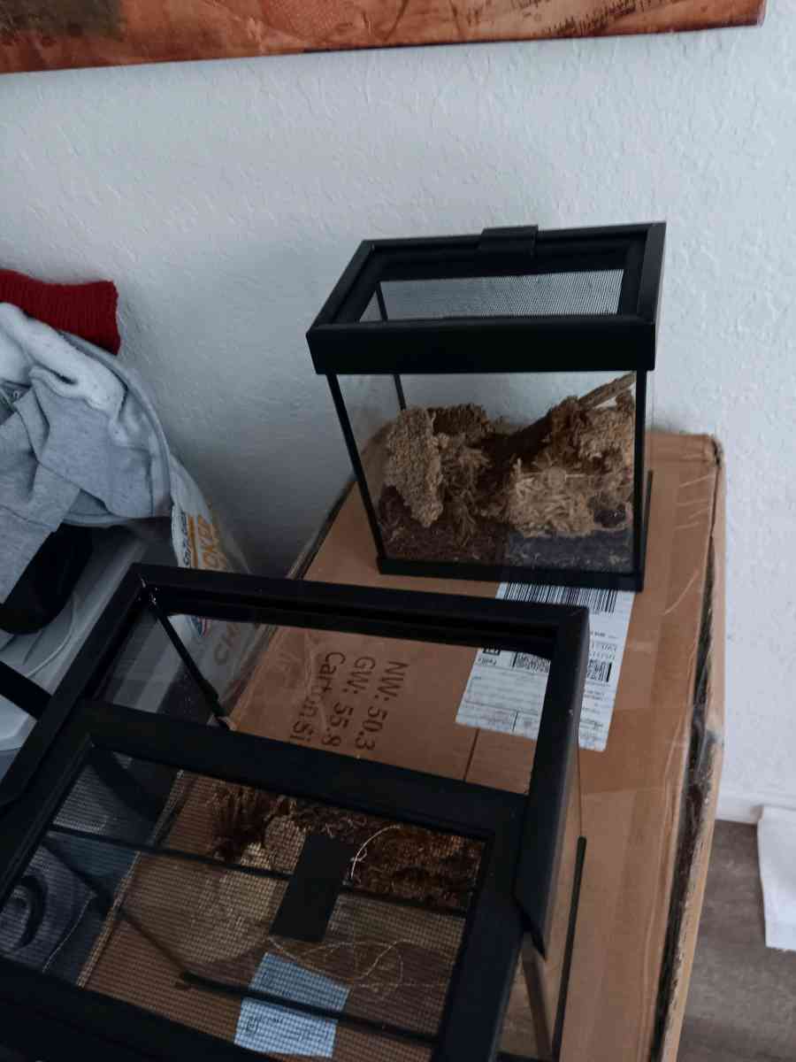 2 small reptile terrarium 1g tank - Lakeland, Florida - FleaMarketBay
