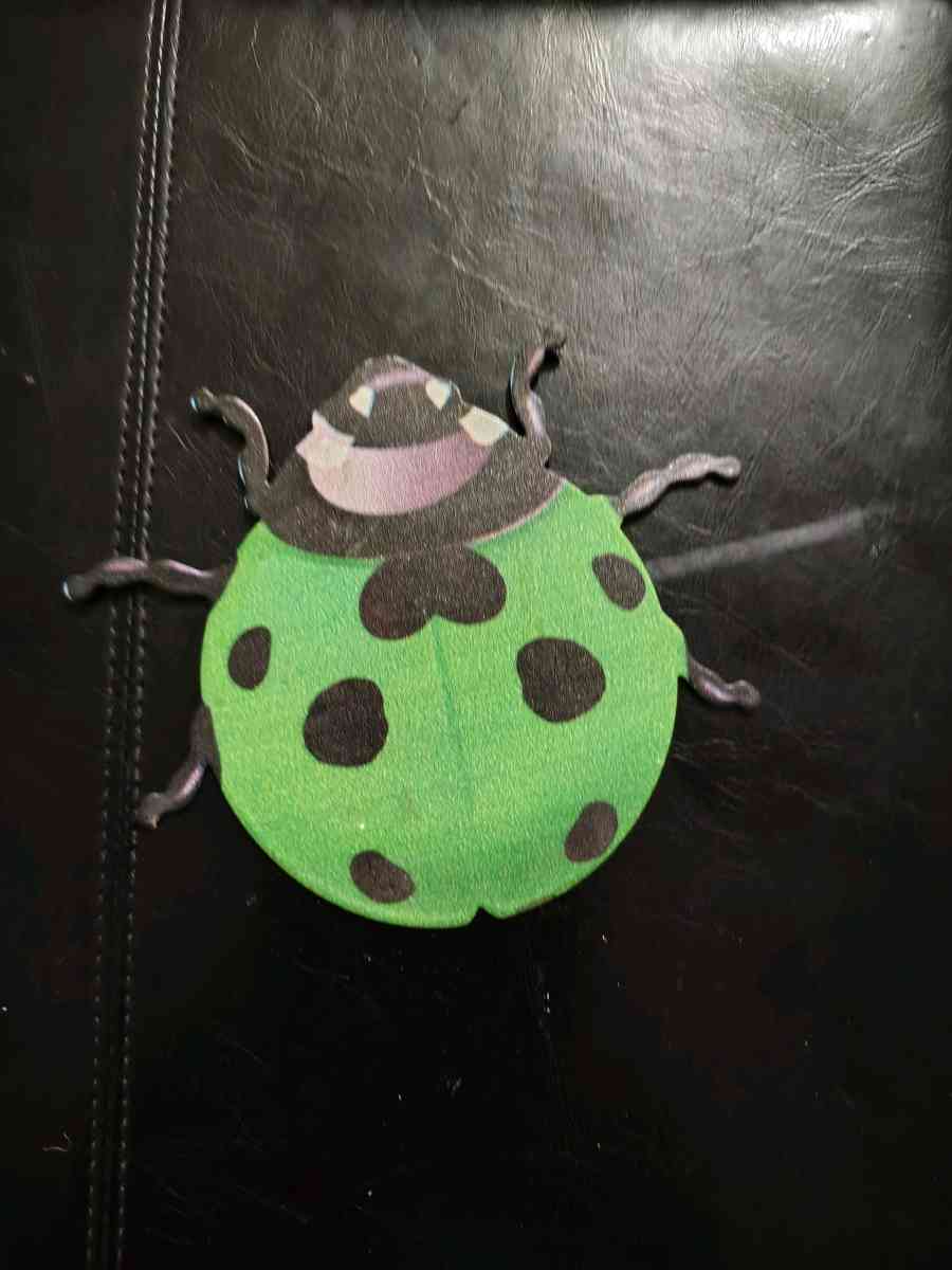 green lady bug - Trinity, Texas