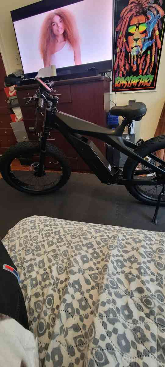 Im selling  a carbon fiber fat tire Ebike - Brooklyn, New York - FleaMarketBay