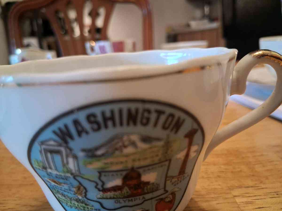 Washington cup - Comstock, Michigan - FleaMarketBay