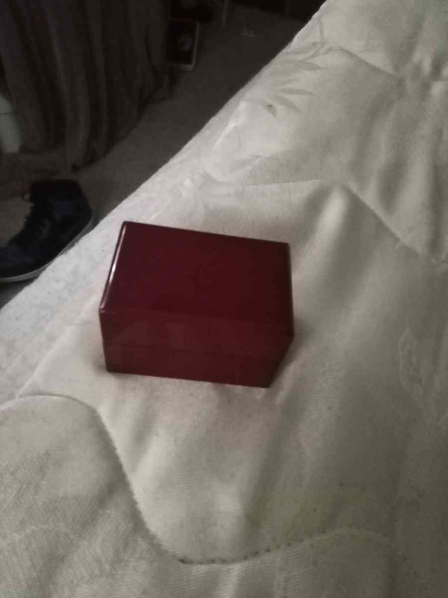 raiders championship ring 1976 - Dayton, Ohio