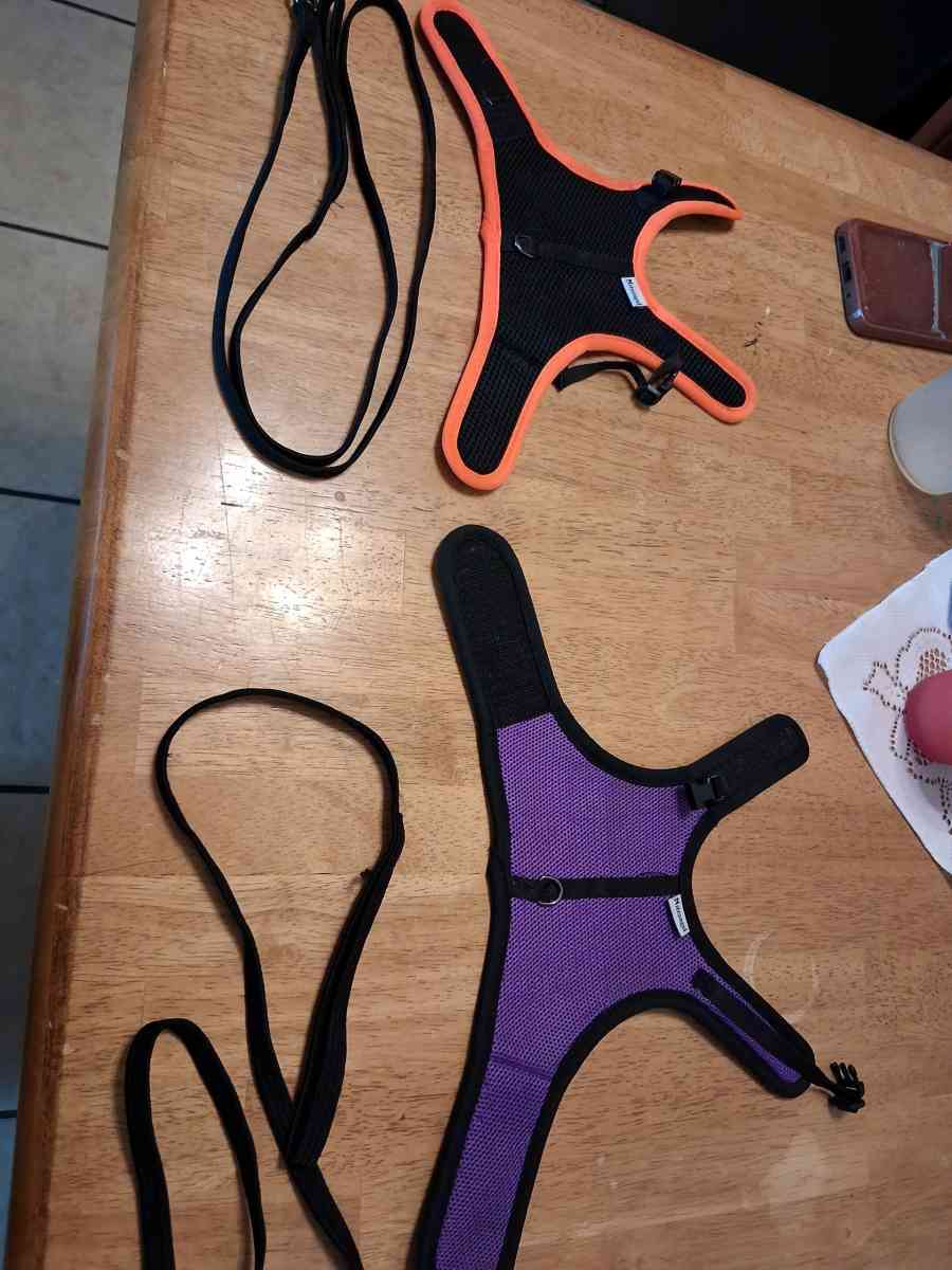 2 bunny harnesses n leashes - Comstock, Michigan