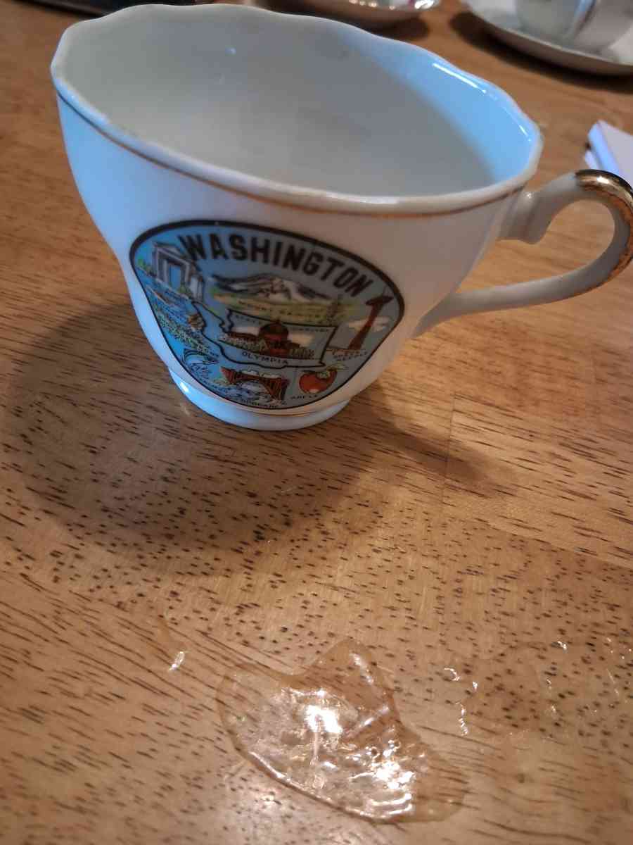 Washington cup - Comstock, Michigan - FleaMarketBay