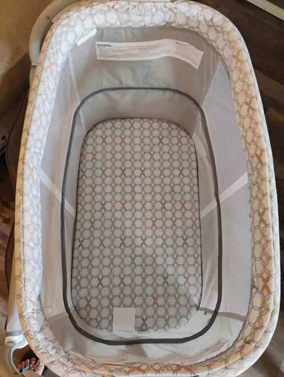 Moiss cunita - Garland, Texas - FleaMarketBay