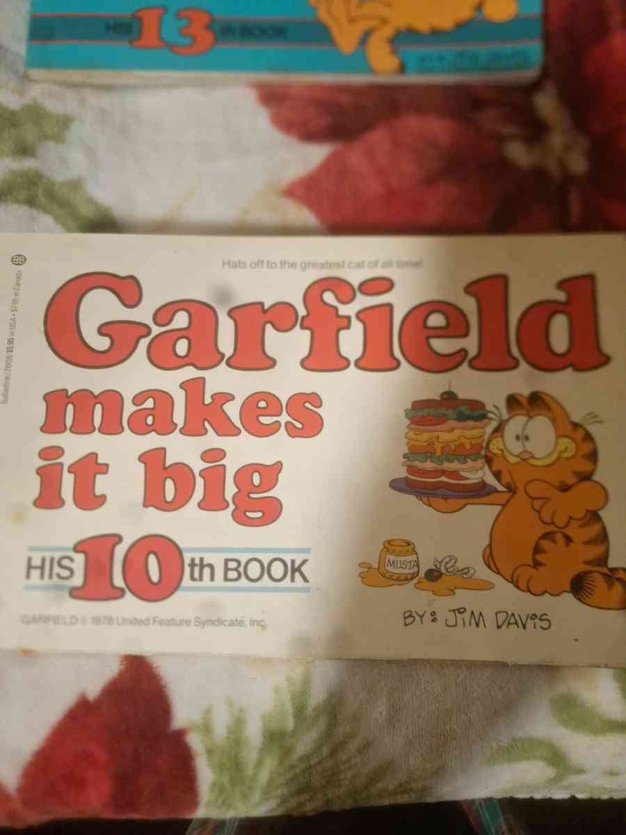 1978 to 1980 Garfield comics - Aiken, South Carolina - FleaMarketBay