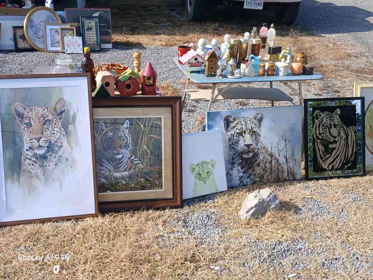 yard sale - Jonesville, Virginia - FleaMarketBay