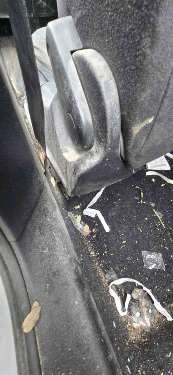 detailing - San Antonio, Texas - FleaMarketBay