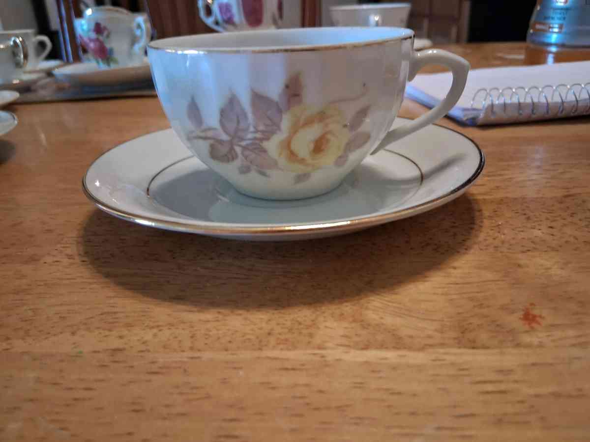 big teacup and saucer set - Comstock, Michigan
