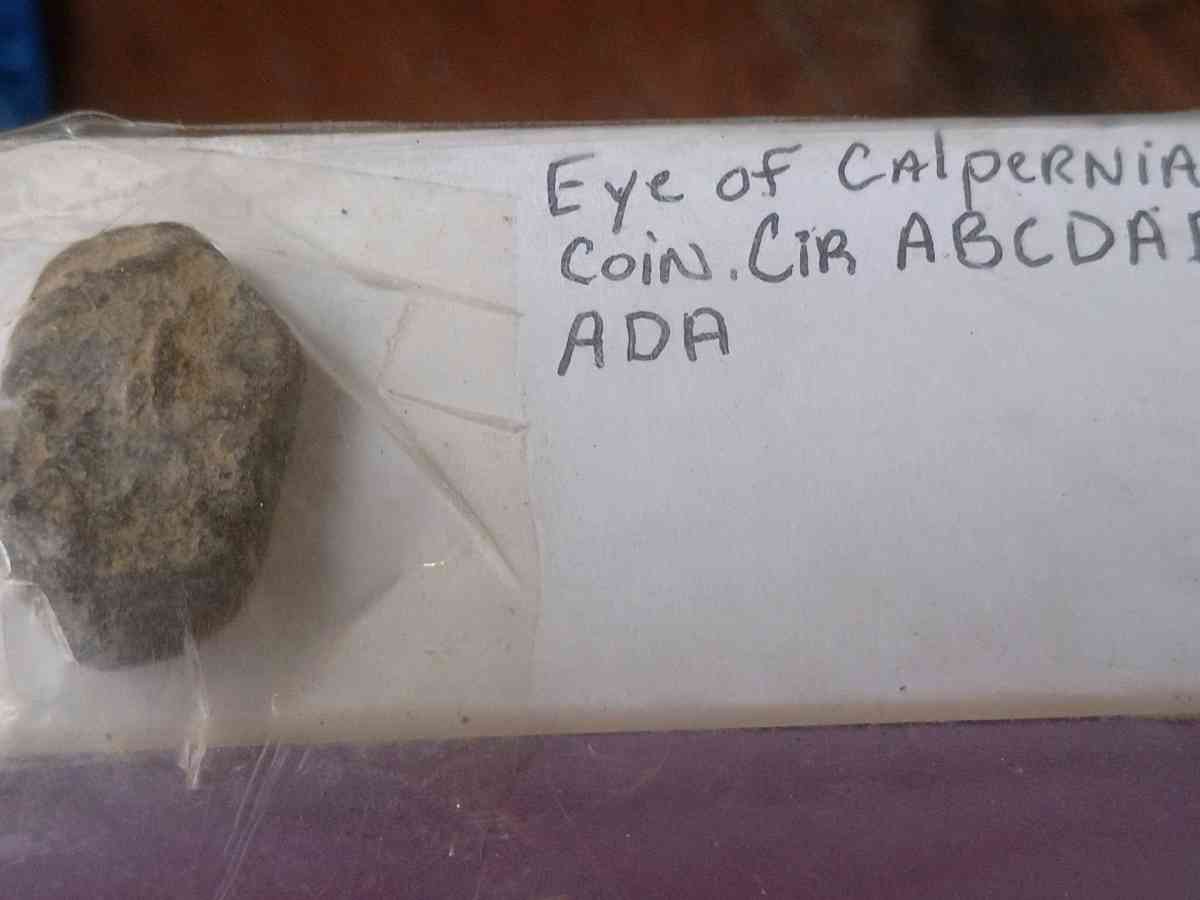 ancient stone type plaginise Coin of calpernia - Dayton, Ohio