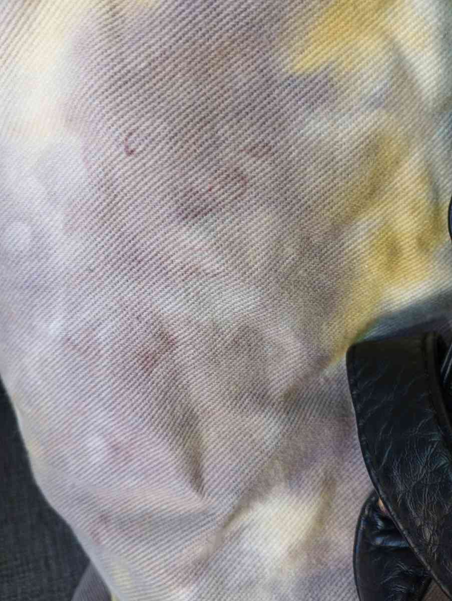 Like Dreams Backpack - Altamonte Springs, Florida - FleaMarketBay