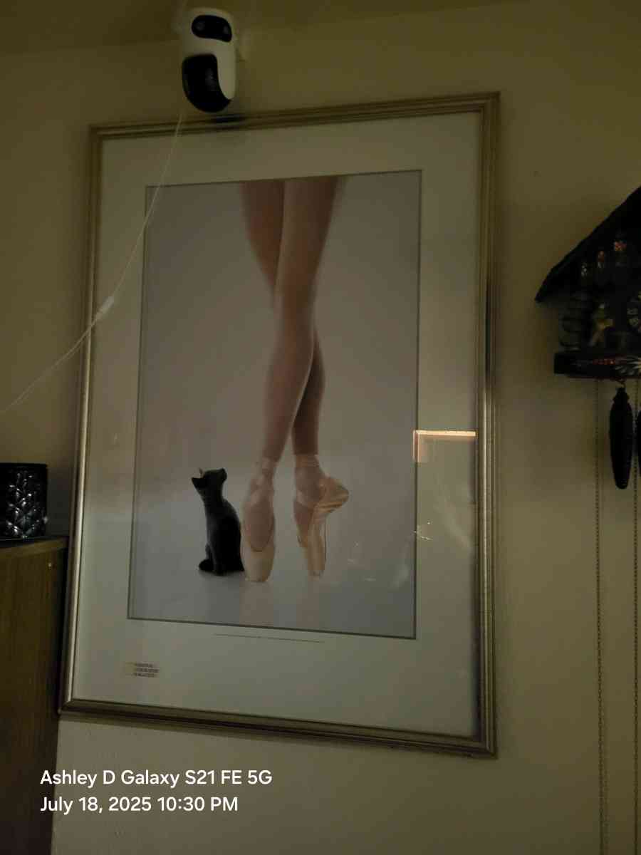 Large framed black and white ballet poster ballet dance - Green Bay, Wisconsin