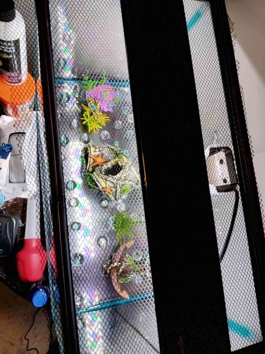 10 gallon fish tank and a goldfish kit with everything