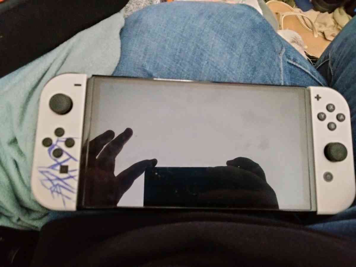 Nintendo Switch OLED - Hot Springs National Park, Arkansas - FleaMarketBay