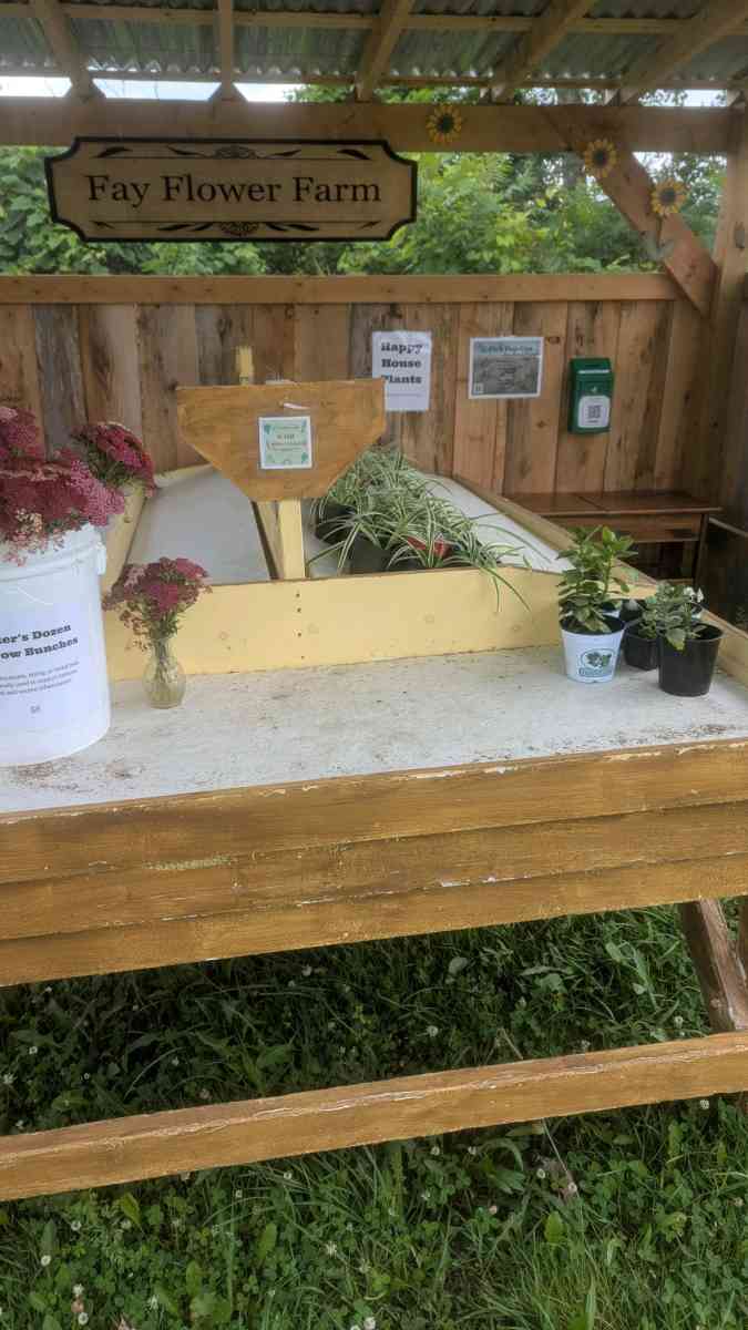 Farm Stand - Hannibal, New York - FleaMarketBay