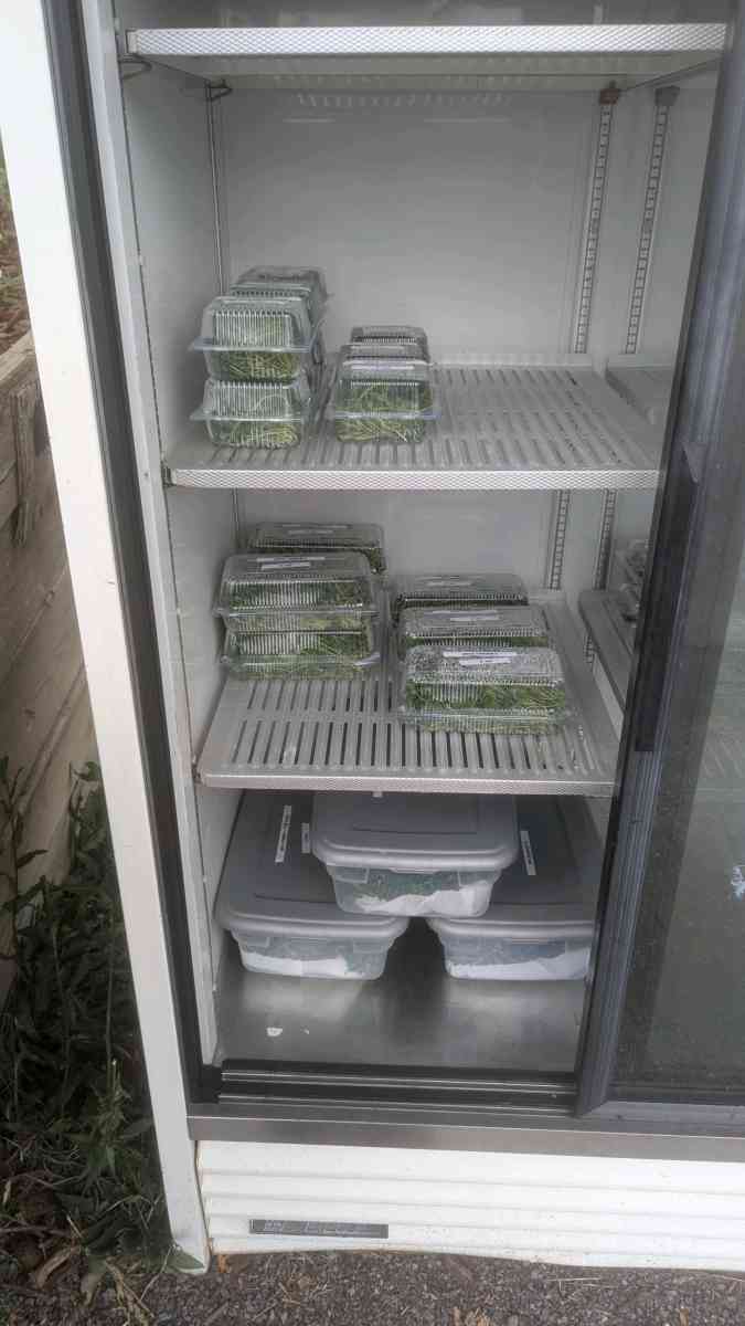 Farm Stand - Hannibal, New York - FleaMarketBay