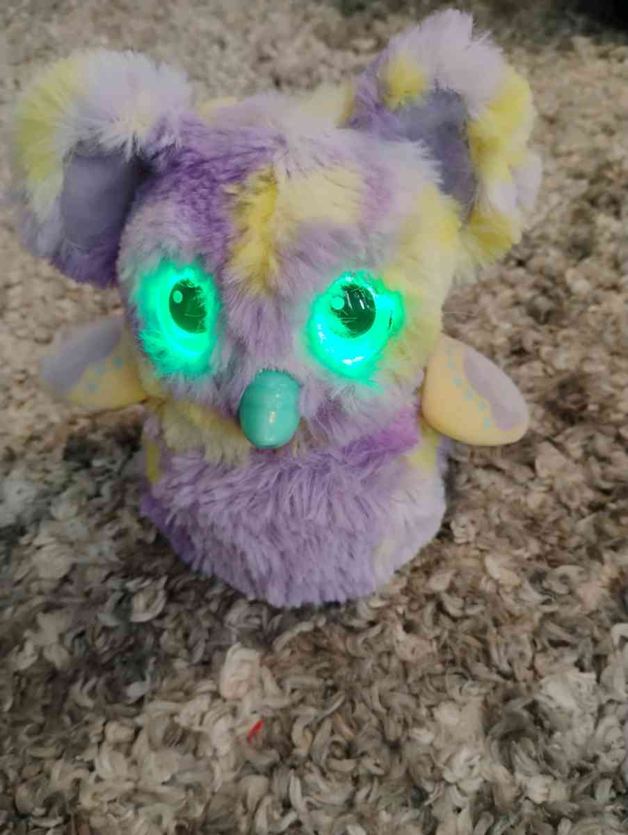 Hatchimals - Menasha, Wisconsin
